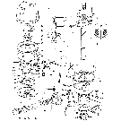 11J01 DISTRIBUTOR & RELATED PARTS, GASOLINE