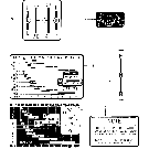 16D01 SHIFT PATTERN & SPEED INDICATOR