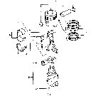 06G01 PISTONS & CONNECTING RODS, GASOLINE