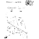 927(04) AUTOMATIC"LEMOINE" OR "AXLA" HITCH