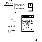 1.98.0/02(03) (VAR.330007) NORTH AMERICA VERSION - DECALS