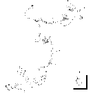 04-37 HARNESS - ISO IMPLEMENT