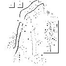 03 -03 FUEL LINES