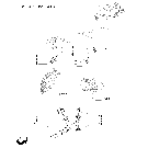 1.82.1/ 2(03) LIFTER, LINES