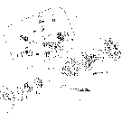 1.32.4 DIFFERENTIAL ASSEMBLY