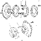 01B01 REAR WHEEL WEIGHTS