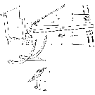 021 NEEDLE YOKE, ROD & BRAKE ARM