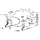 L09 STRAW WALKER CLOGGING WARNING DEVICE