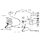 L09 STRAW WALKER CLOGGING WARNING DEVICE