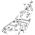 002  MAIN FRAME & STRUT ASSEMBLIES 5FT. & 6 FT. 1300-SERIES THRU 1900-SERIES TRACTORS, 79/85, GROUP 1-2