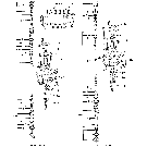 017 VALVE ASSY., LIFT & CROWD SECTIONS