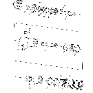 021 ORBIT MOTOR