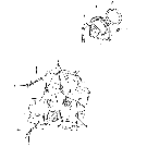 06A03 KIT, STEPPED STUD ENGINE BLOCK (12-86/)