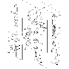 05E04 CONTROL VALVE SECTION, LIFT