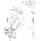 08-012 FUEL INJECTION VALVE