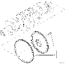 02-24 FLYWHEEL - ENGINE; L190 BSN N7M459487, C190 BSN N7M457282